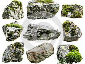 Assortment of nine unique mossy stones set against a white backdrop, highlighting their natural textures