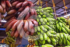 Assortment od the different kinds of Bananas in Kerala