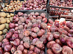 Assortment of onions at local farmers market.