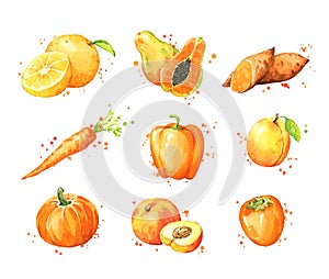 Assortment of orange foods, watercolor fruit and vegtables