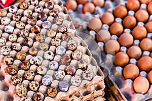 Eggs for sale at a market in Maumere photo