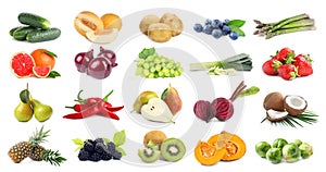 Assortment of organic fresh fruits and vegetables on white background. Banner design