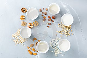 Assortment of organic vegan non diary milk