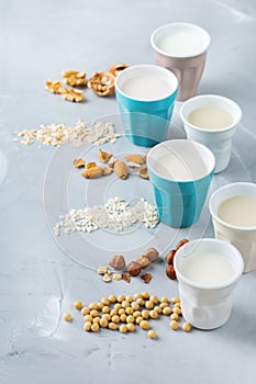 Assortment of organic vegan non diary milk