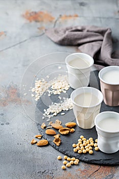 Assortment of organic vegan non diary milk