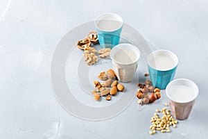 Assortment of organic vegan non diary milk from nuts