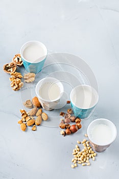 Assortment of organic vegan non diary milk from nuts