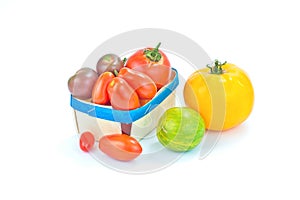 Assortment organic vegetable colorful tomatoes isolated