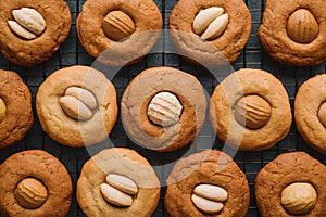 assortment of peanut cookies captured beautifully in foodgraphy