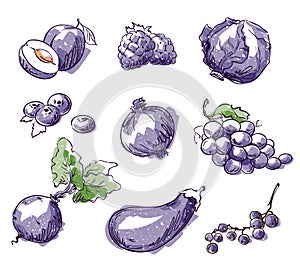 Assortment of purple foods, fruit and vegtables, vector sketch photo