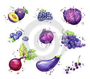 Assortment of purple foods, watercolor fruit and vegtables