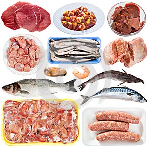 Assortment of raw meat and seafood