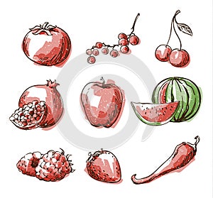 Assortment of red foods, fruit and vegtables, vector sketch photo