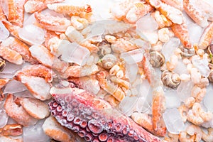 assortment of seafood on ice