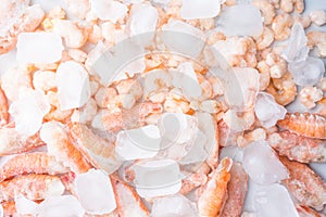 assortment of seafood on ice