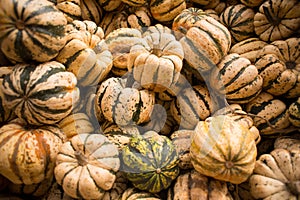 An Assortment of Sweet Dumpling Squash at a Roadside Stand