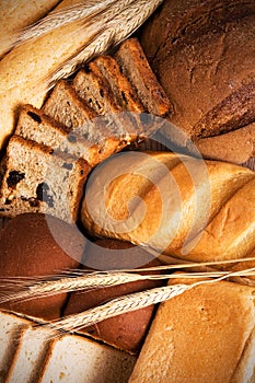 Assortment of tasty bread