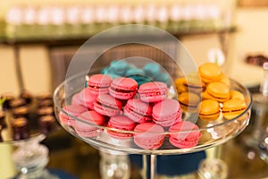 Assortment of traditional french macarons