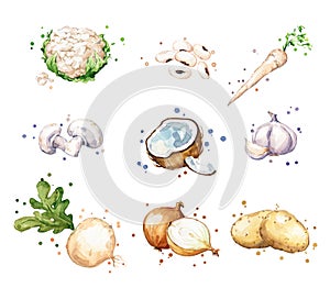 Assortment of white, light color foods, watercolor fruit and vegetables