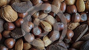 Assortment of whole nuts, walnuts, almonds, hazelnuts and Brazil nuts