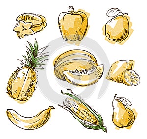 Assortment of yellow foods, fruit and vegtables, vector sketch photo