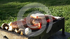 Assorty on grill at summer barbecue, cheese, vegetables, mushrooms and cuttlets