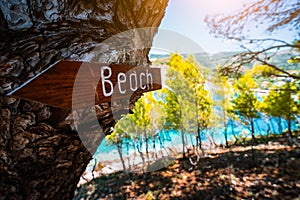 Assos village in morning light, Kefalonia. Greece. Beach wooden arrow sign on a pine tree showing direction to small