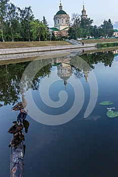 Assumption Cathedral. Oka. Ducks are sitting on a log