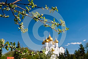 Assumption cathedral of the Russian orthodox church, Yaroslavl