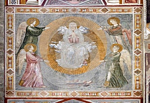 Assumption of the Virgin, Basilica di Santa Croce in Florence photo