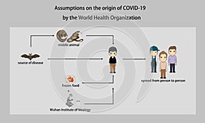 Assumptions on the origin of COVID-19.