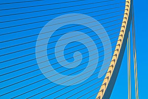 Assut de l'Or Bridge