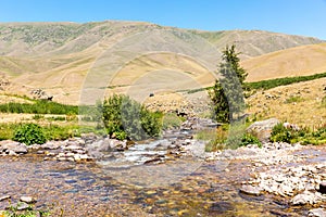 Assy plateau in Tien-Shan mountain in Almaty, Kazakhstan,Asia at summer.