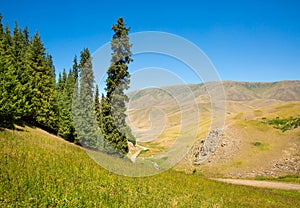 Assy plateau in Tien-Shan mountain in Almaty, Kazakhstan,Asia at summer.