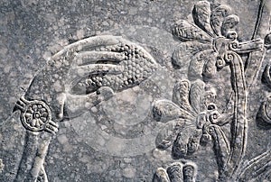 Assyrian wall relief of a genius, detail with a cone in a hand