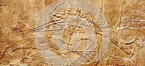 Assyrian wall relief of lion hunt, king Ashurbanipal with warriors on carving from Middle East and Mesopotamia photo