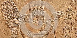 Assyrian wall relief of winged genius