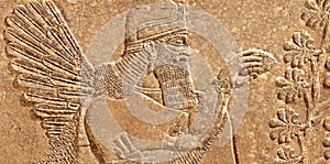 Assyrian wall relief of winged genius photo