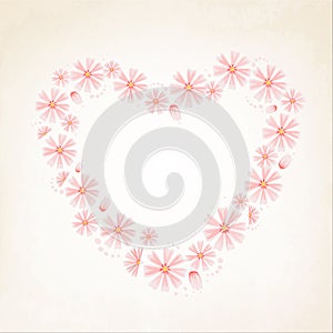 Aster daisy flowers heart shape love concept