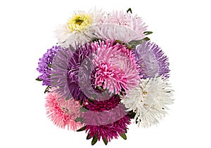 Aster flower bouquet closeup photo