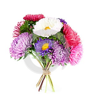 Aster flower bouquet on white background