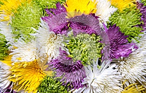 Aster flowers bouquet closeup