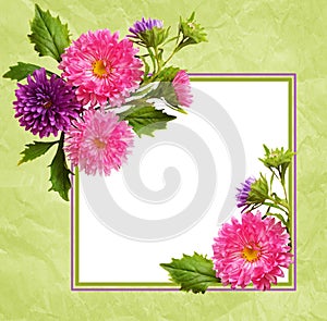Aster flowers composition and frame