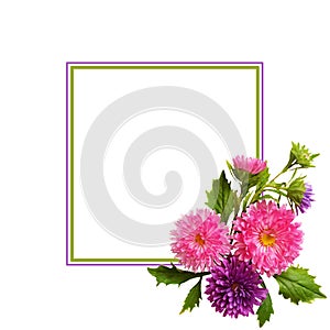 Aster flowers composition and frame