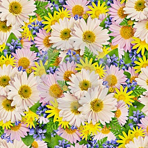 Aster and wild flower seamless pattern