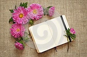 Asters composition and a notepad