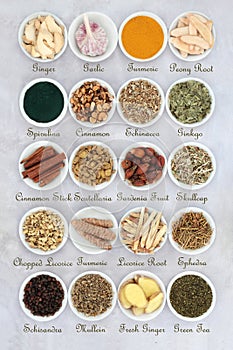 Asthma Relieving Herbs and Spices