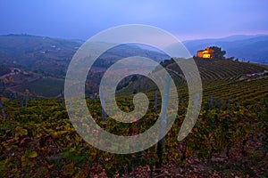 Asti vineyards