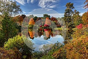 Asticou Azalea Garden