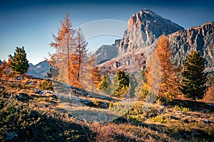 Astonishing autumn view from top of Falzarego pass with Tofana peak on background.